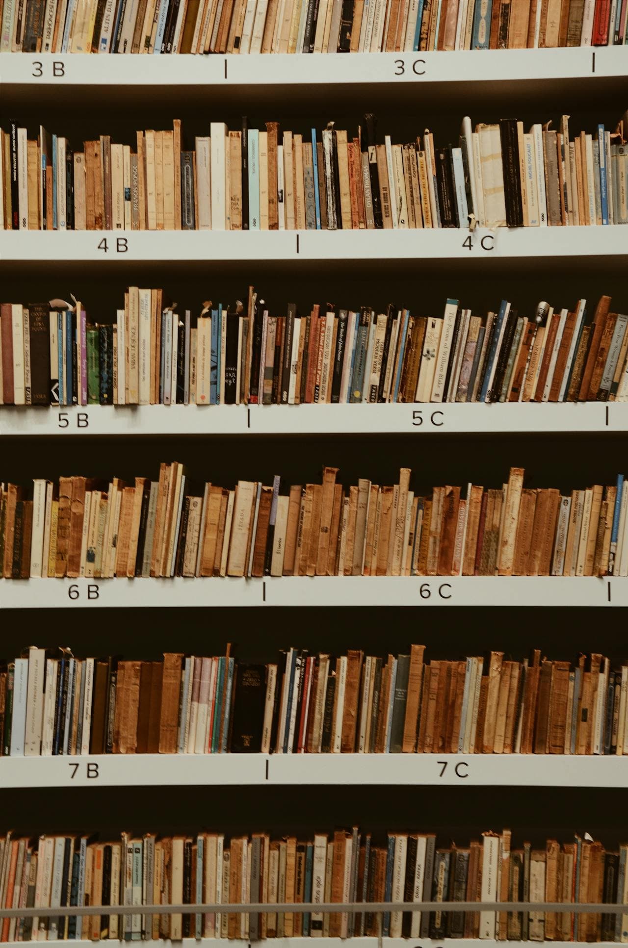 Rows of files on library book shelves